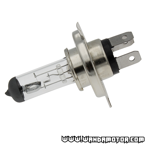 Bulb H4 P 45T 12V 60/60W